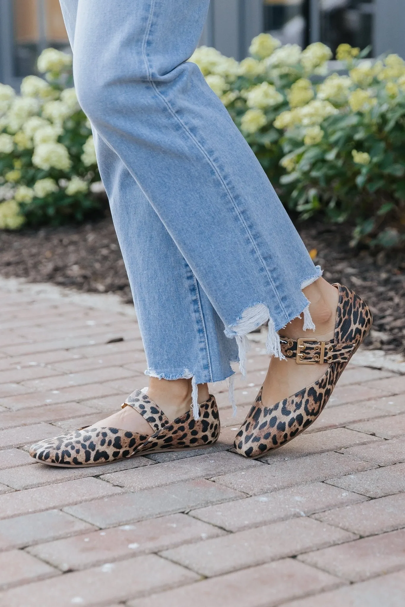 Adriana Brown Leopard Buckled Flats - FINAL SALE